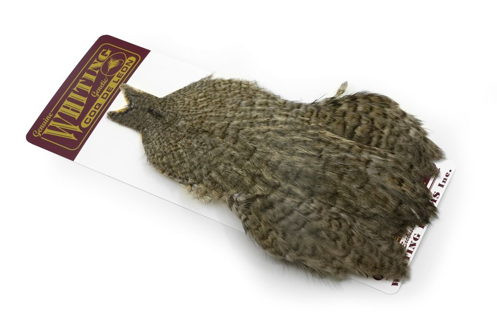WHITING Coq de Leon Hen Cape Unique Variant