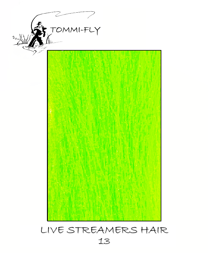 Live streamers hair - Fluo Green
