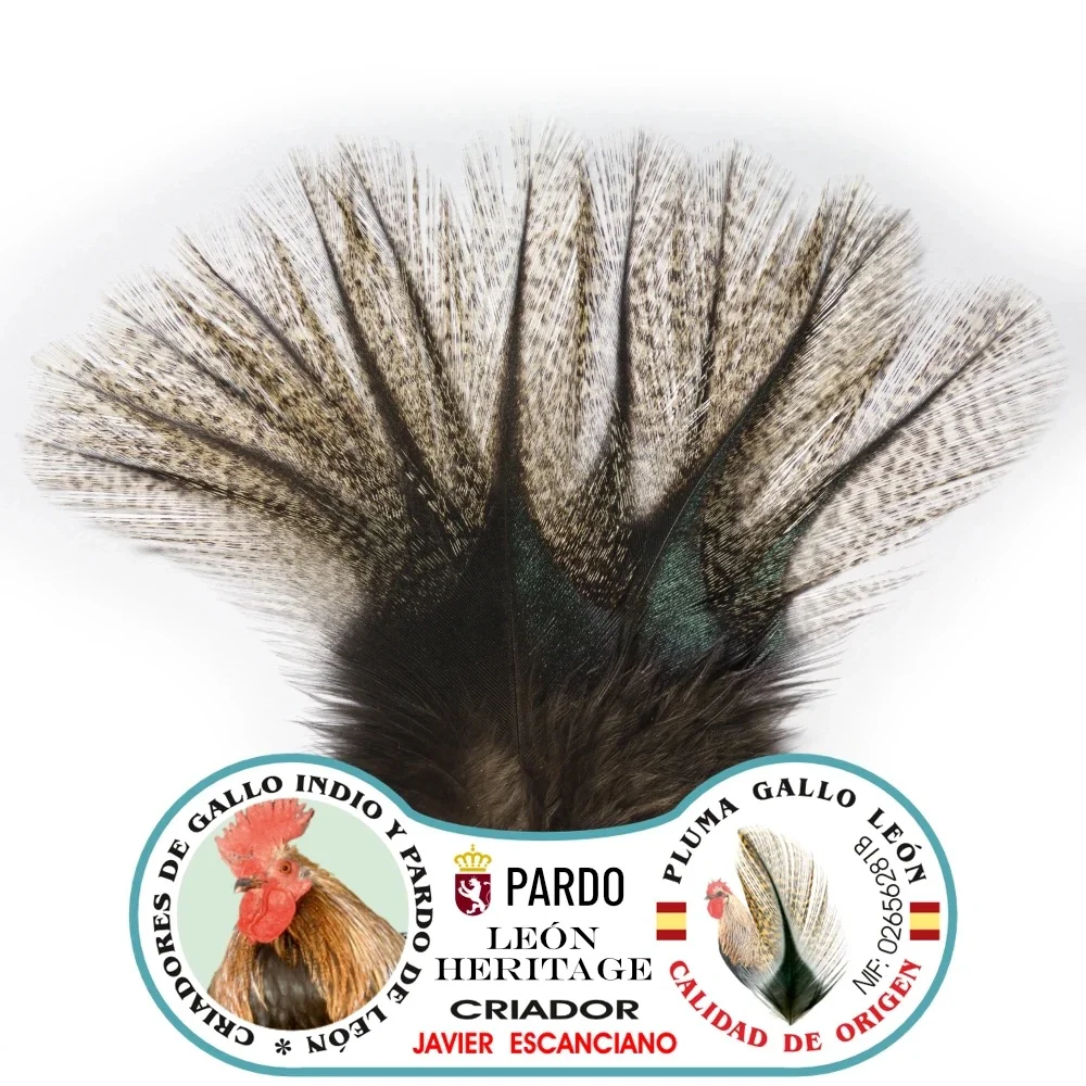 Gallo de Leon - Bronze Grade Corzuno Light