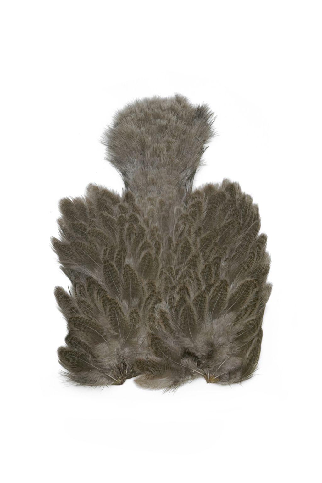 WHITING Brahma Hen SH/C, Mottled Gray dyed Med. Dun