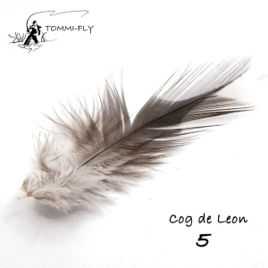 Peří Coq de Leon 
