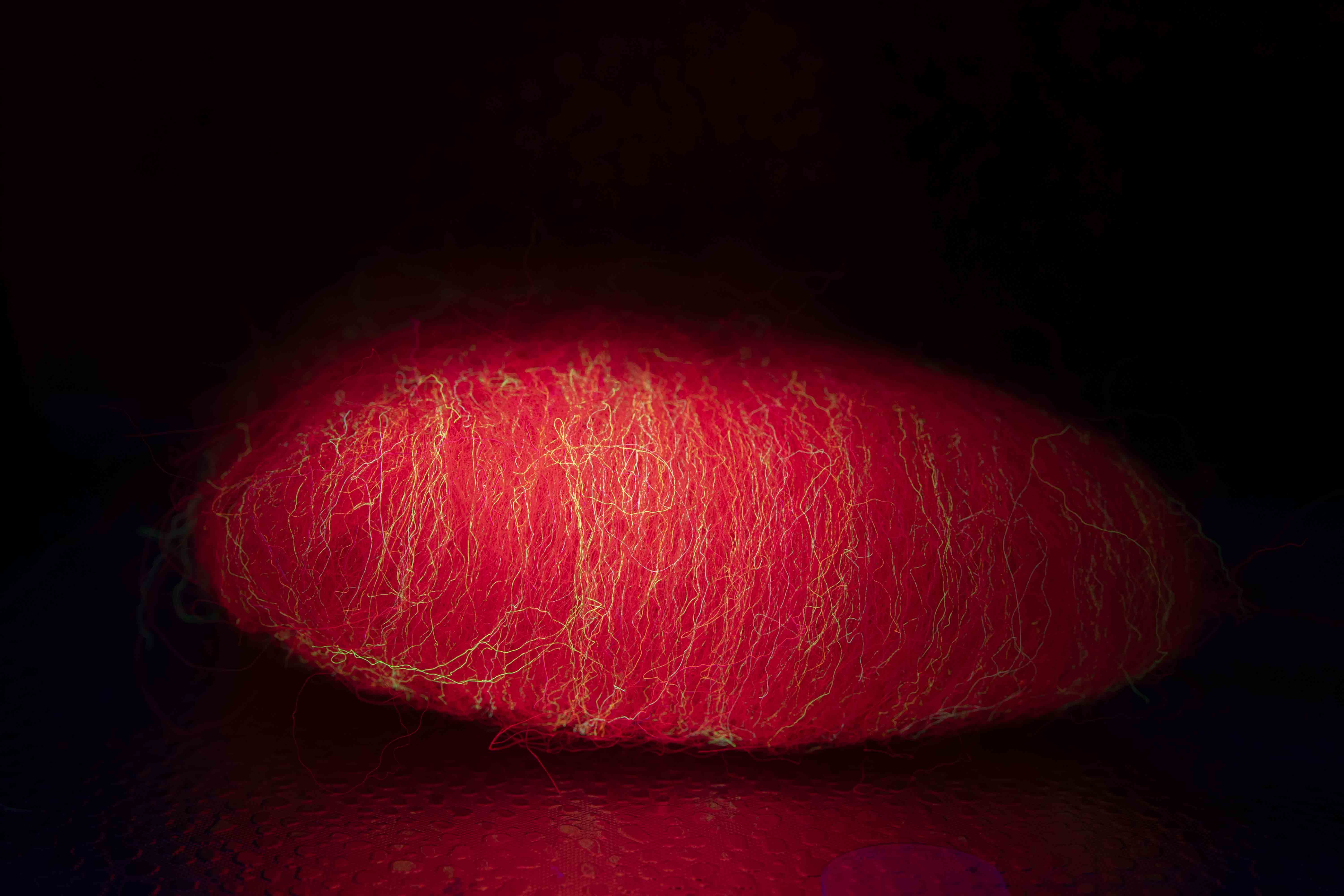 Nuclear streamer hair - red