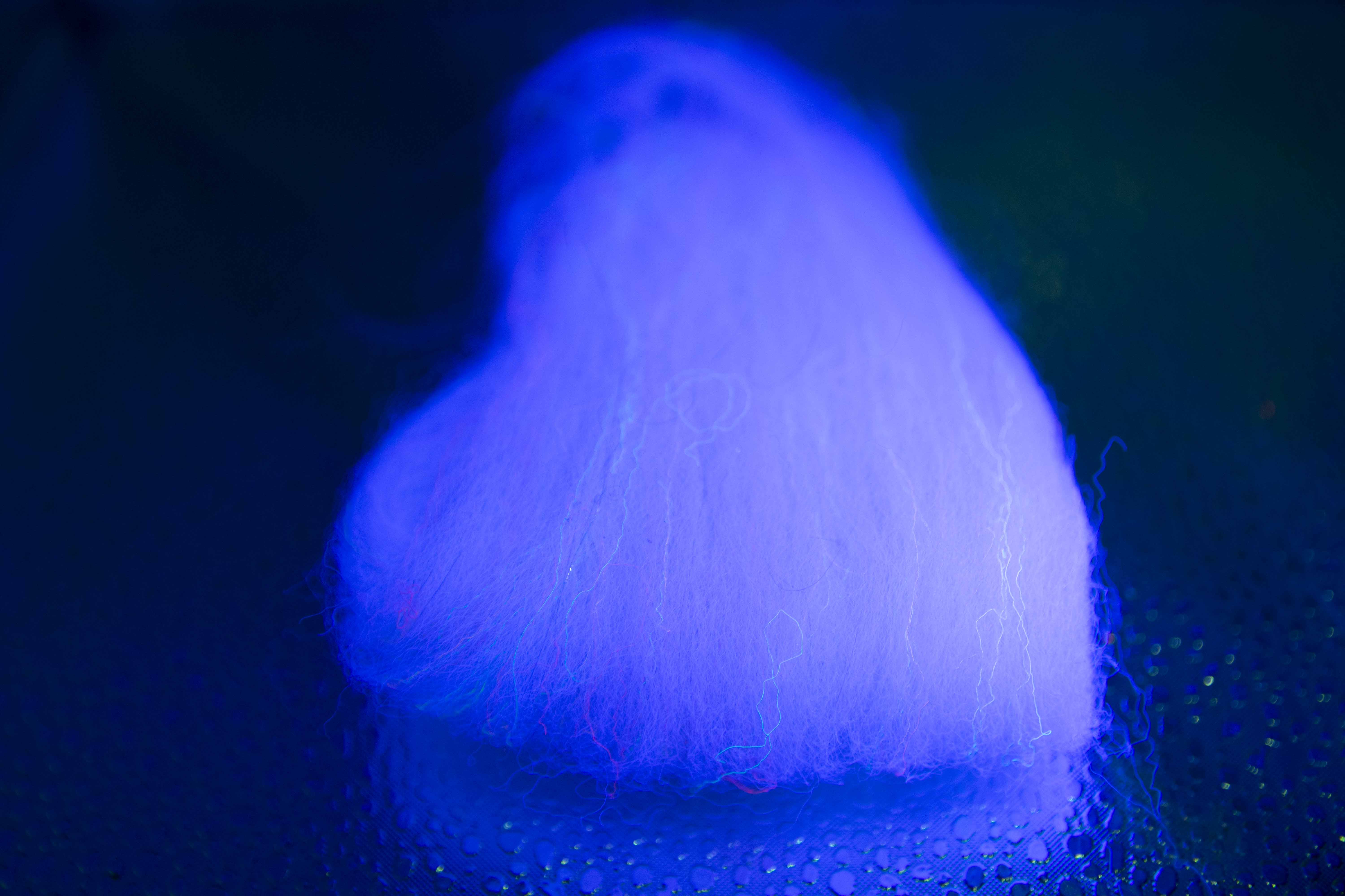 Nuclear Curly Creature dubbing - White