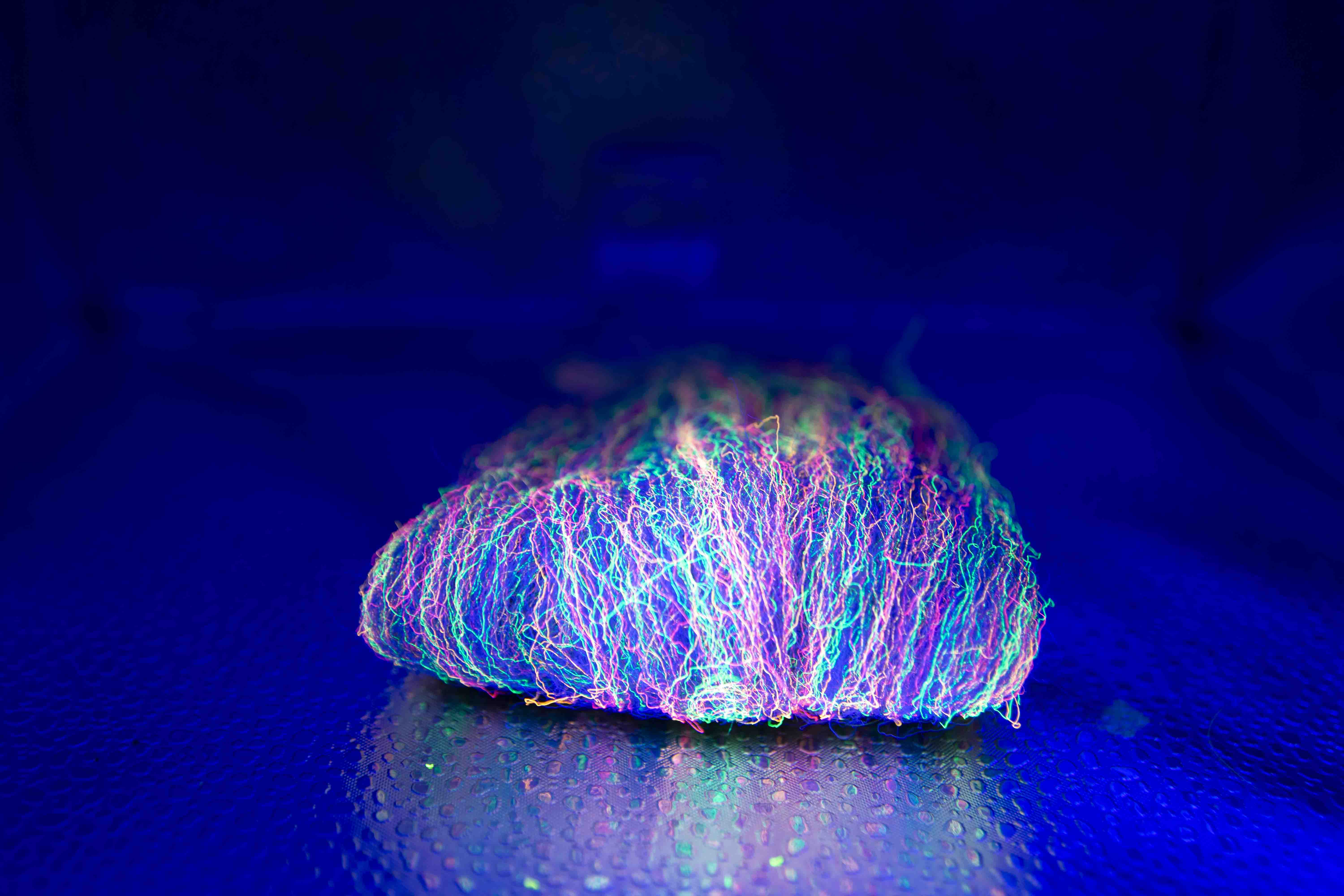 Nuclear Curly Creature dubbing - Paris Blue