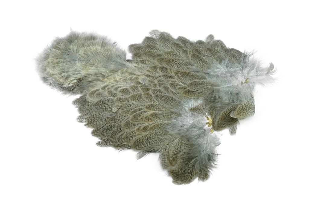 WHITING Brahma Hen SH/C, Mottled Grey