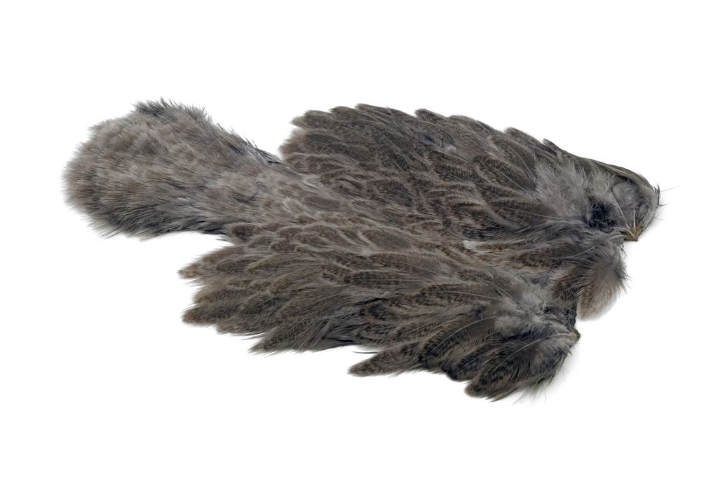 WHITING Brahma Hen SH/C, Mottled Gray dyed Med. Dun