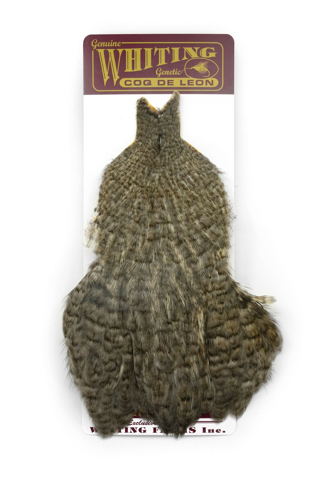 WHITING Coq de Leon Hen Cape Unique Variant