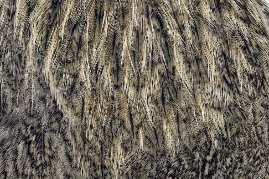 WHITING Coq de Leon Hen Cape Natural Speckled