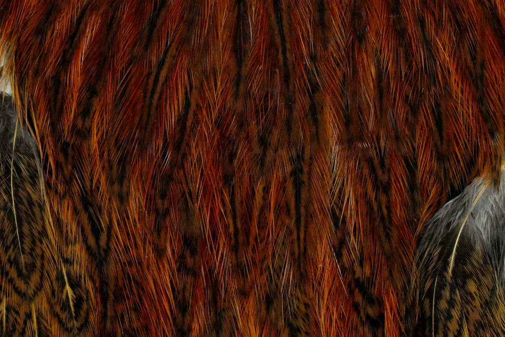 WHITING Coq de Leon Hen Cape Ginger Speckled