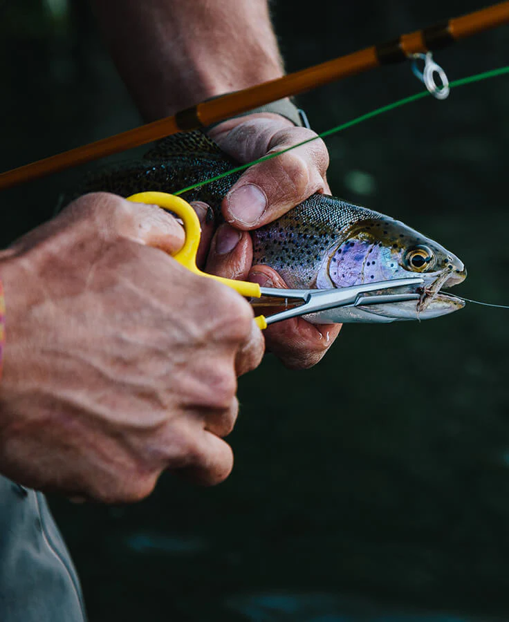 LOON Outdoors - Peán Classic Forceps