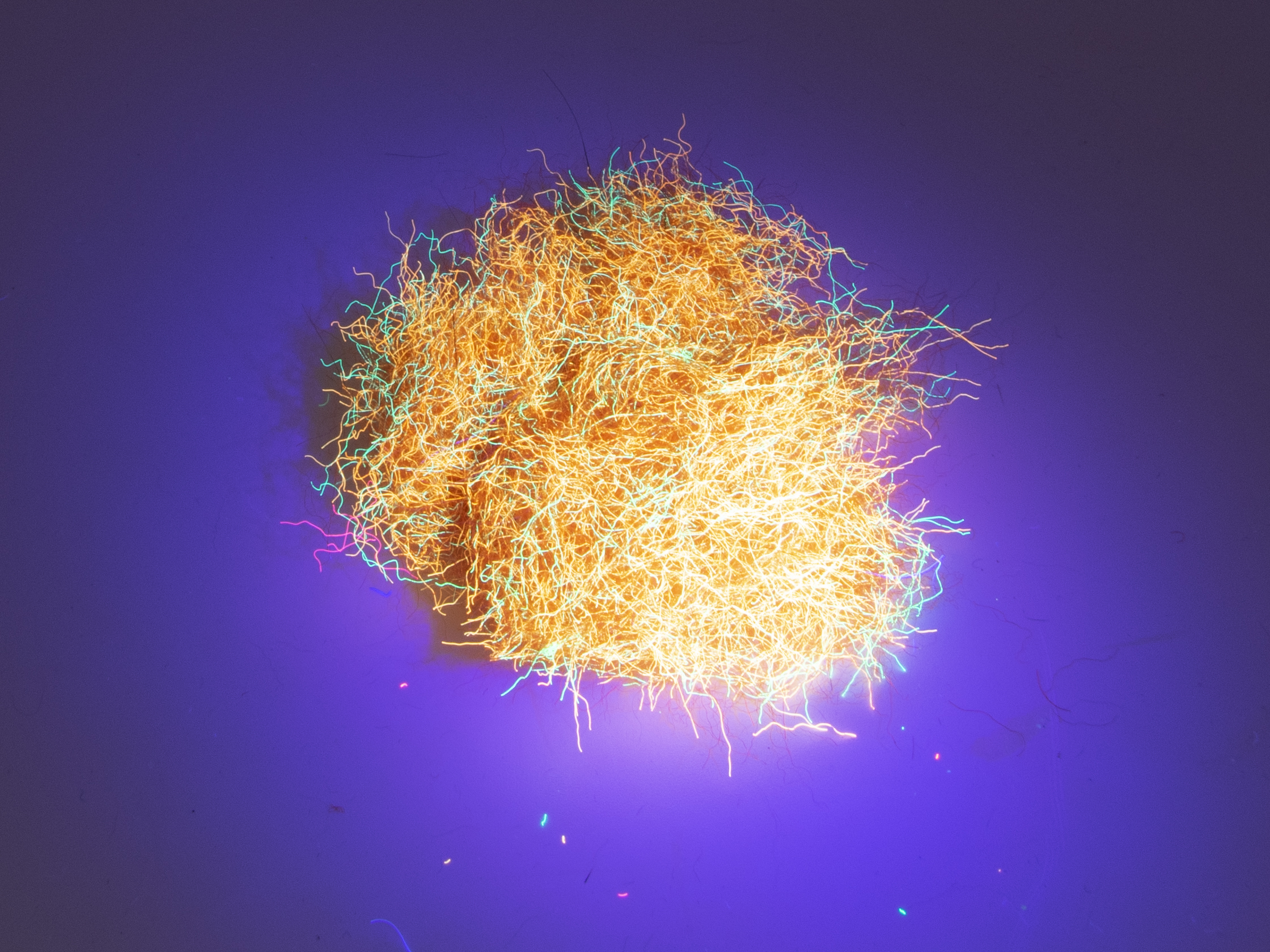 Nuclear Nymph Dubbing - Orange