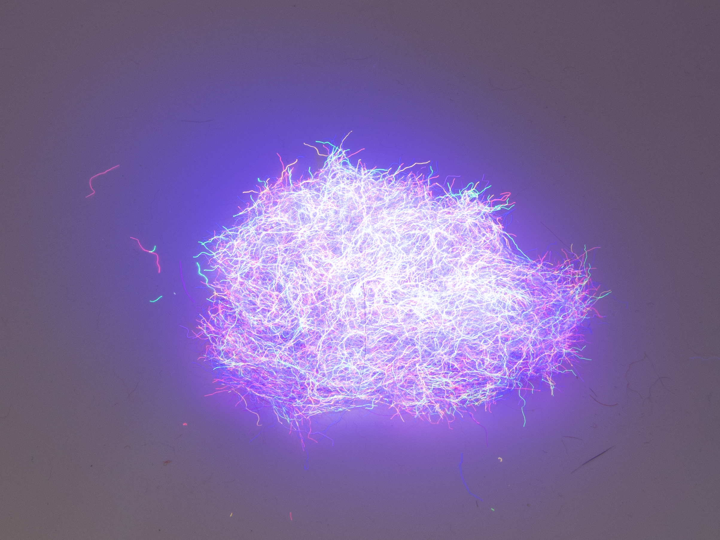 Nuclear Nymph Dubbing - Dark Violet