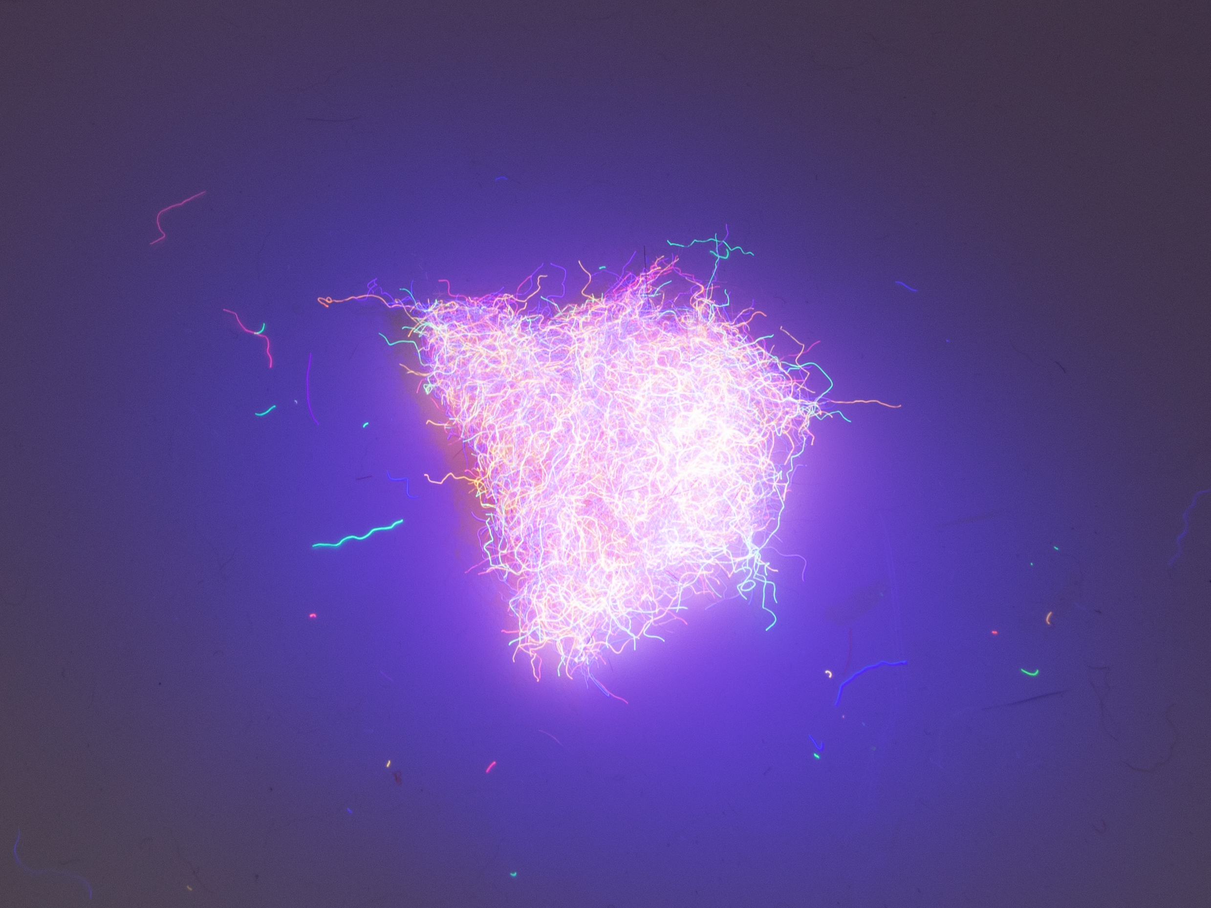 Nuclear Nymph Dubbing - Light Pink