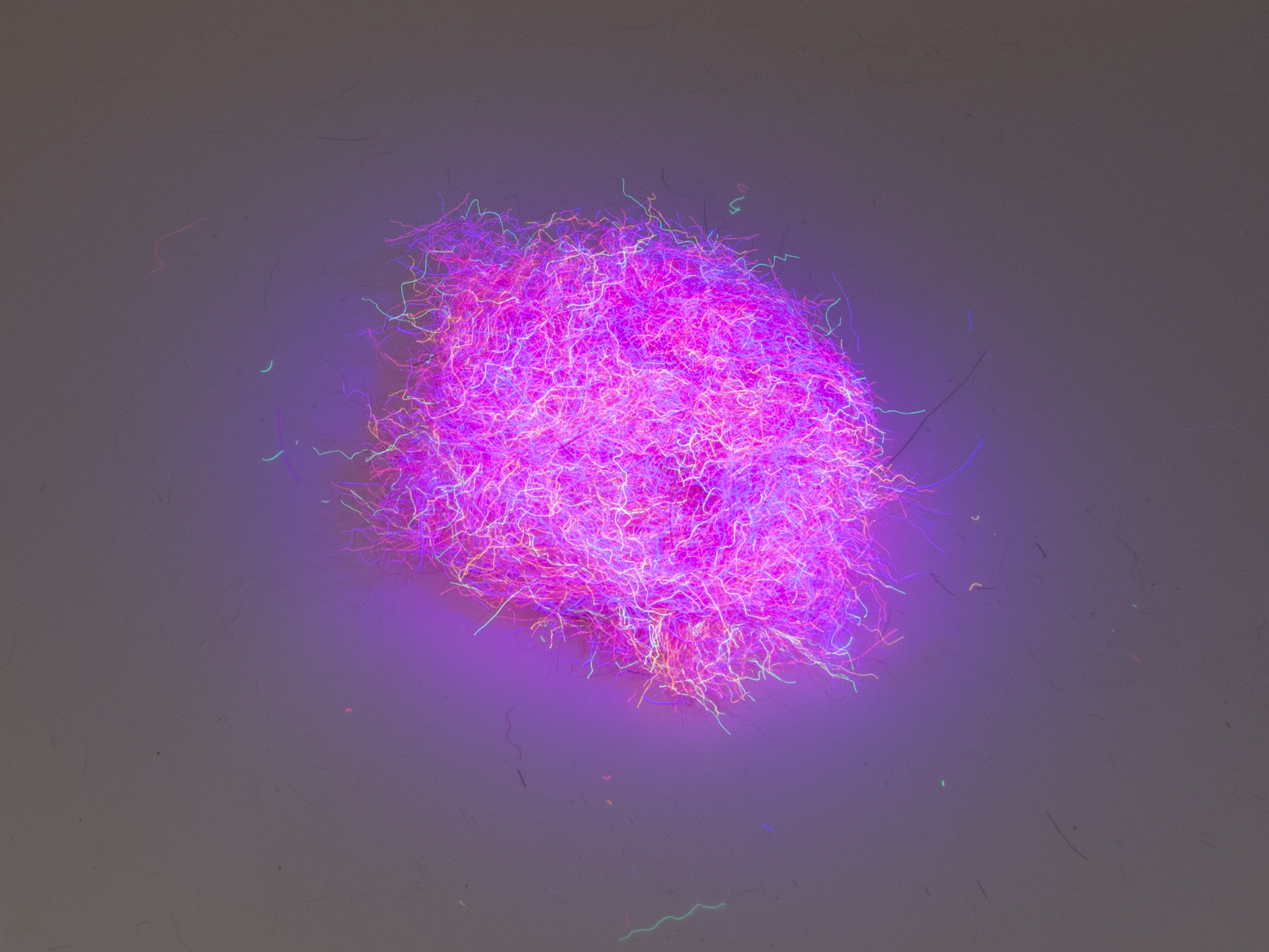 Nuclear Nymph Dubbing - Fluo Pink