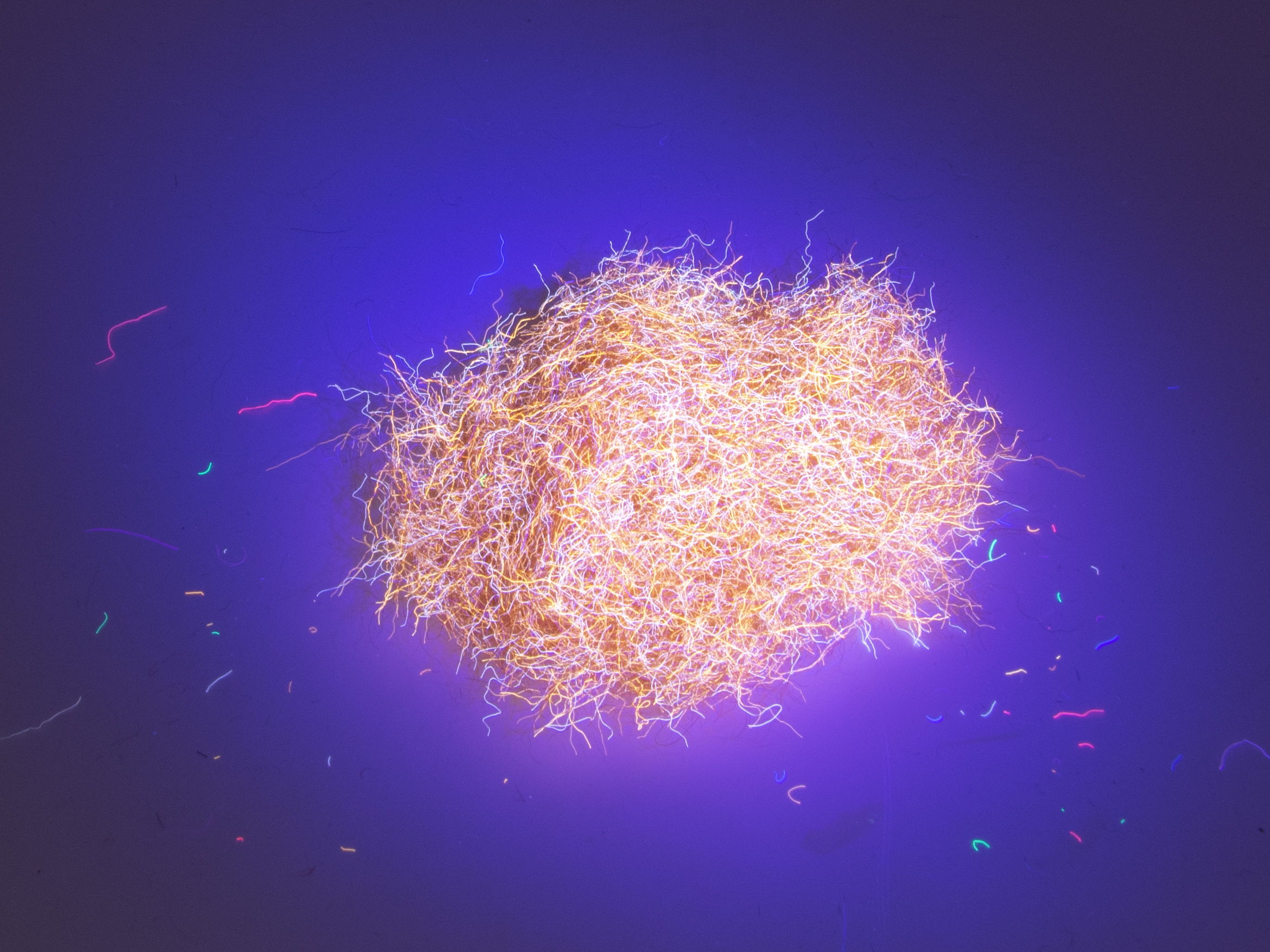 Nuclear Nymph Dubbing - Cinnamon