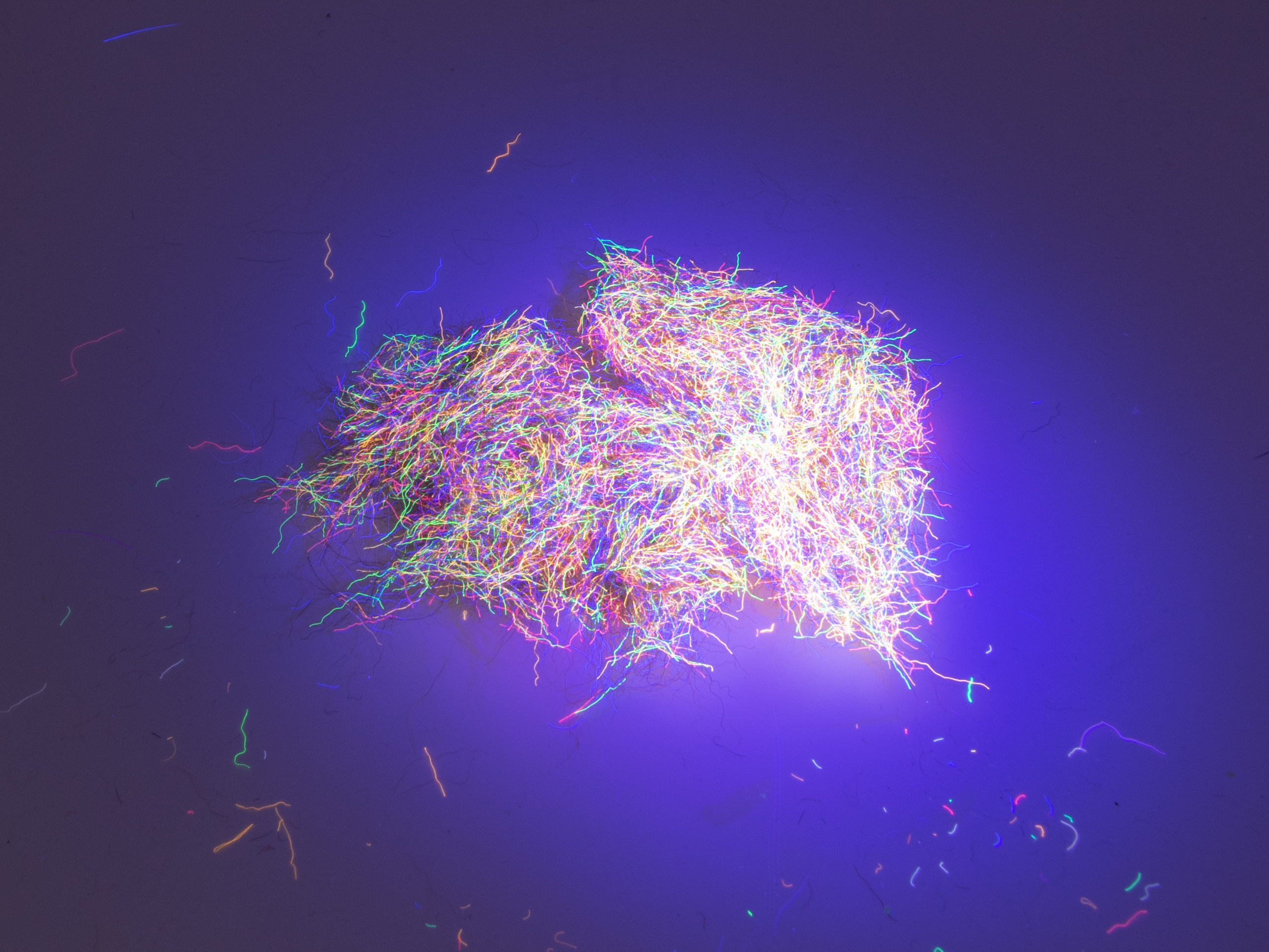 Nuclear Nymph Dubbing - Red Brown