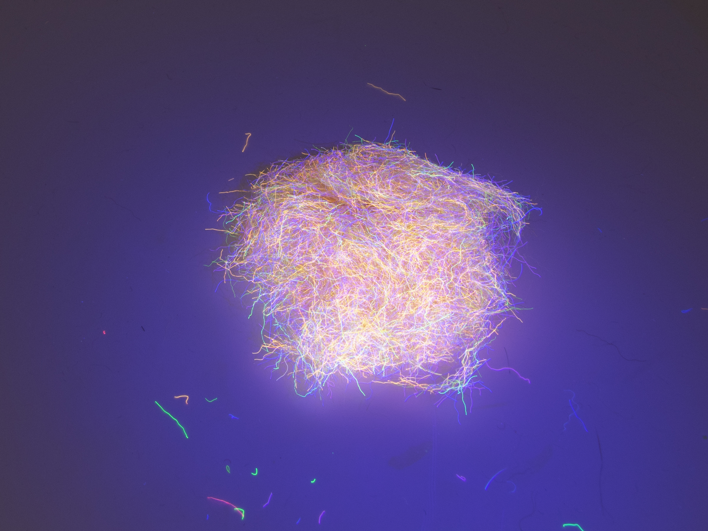 Nuclear Nymph Dubbing - Light Salmon