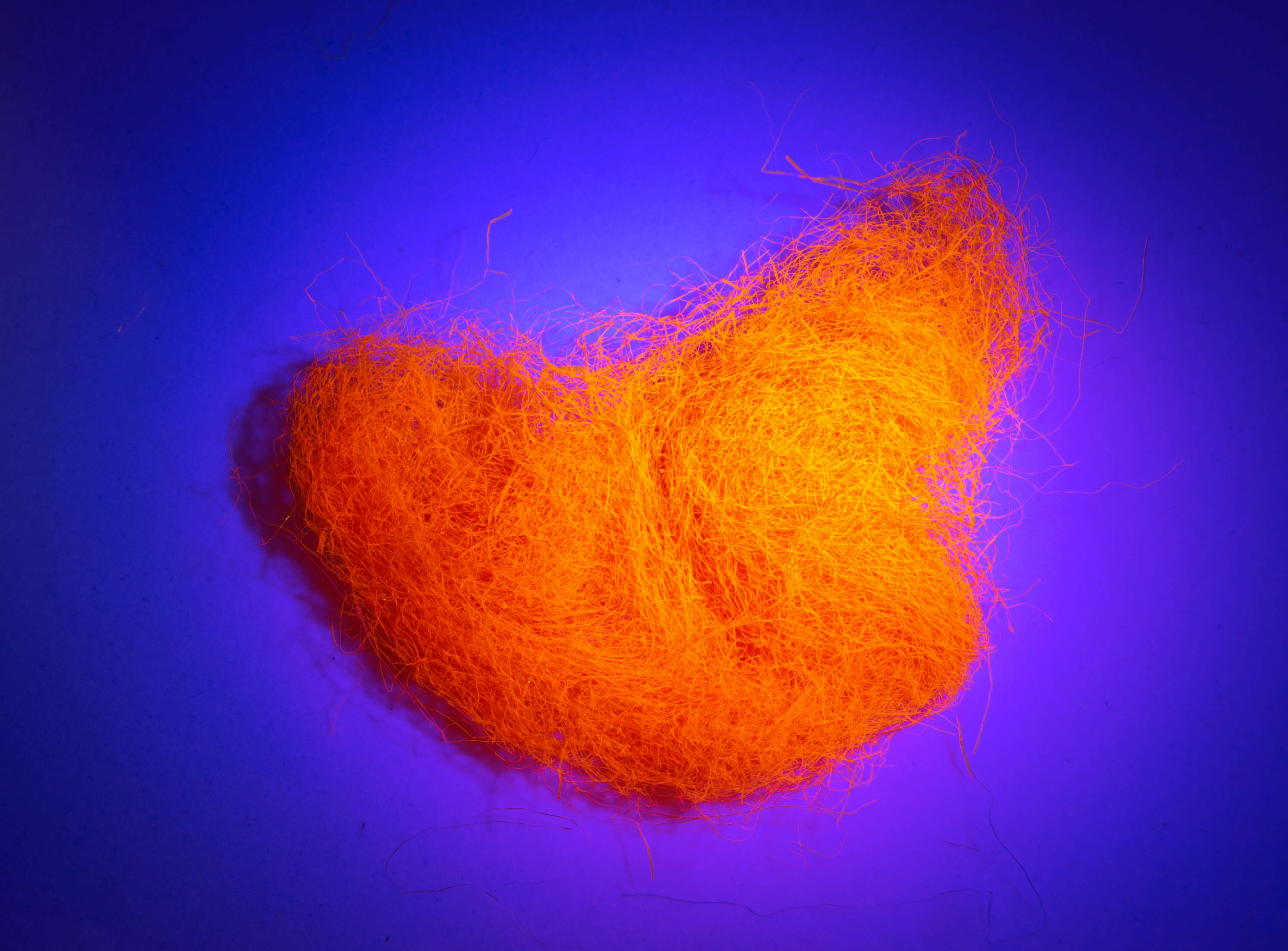Nuclear Peacock dubbing - Hot Fire Orange