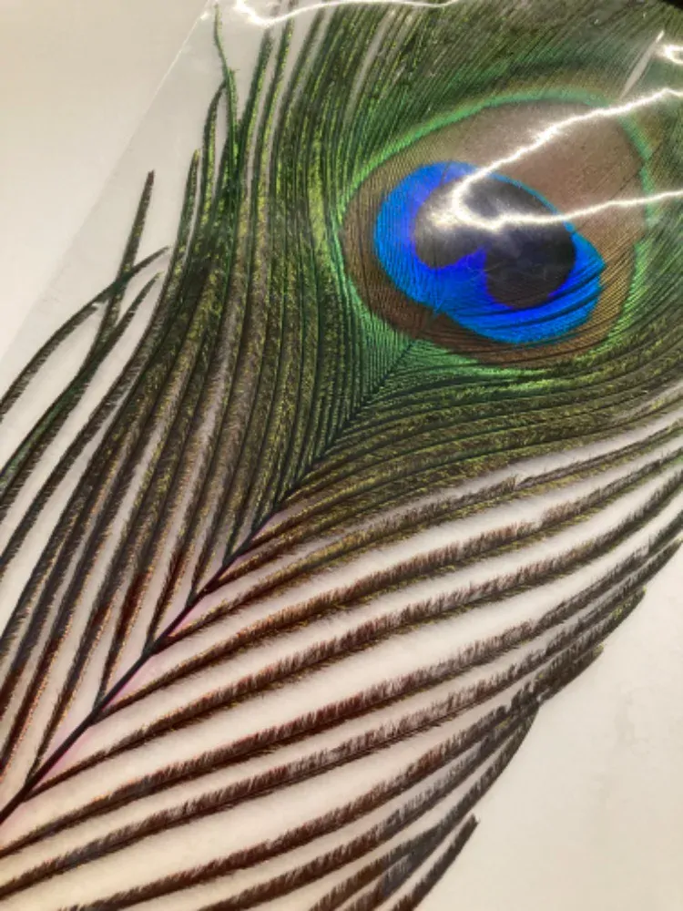 FP Paví oko, fluo růžová