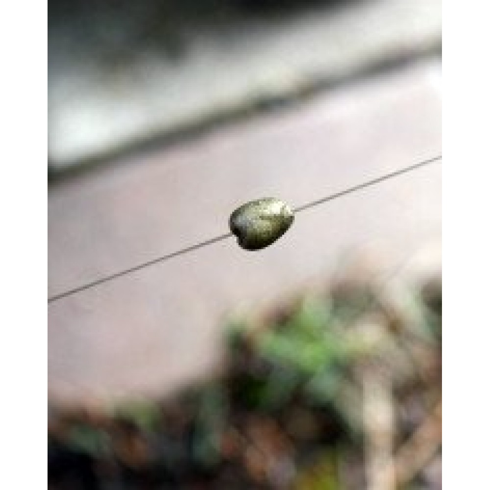 LOON Outdoors Brass Head Soft Weight
