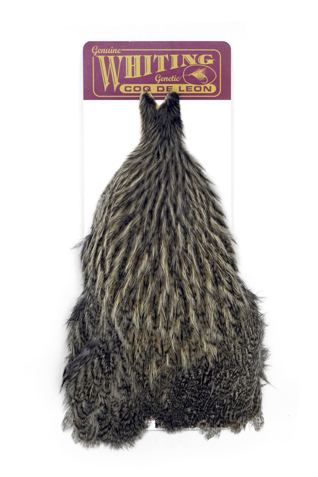 WHITING Coq de Leon Hen Cape Natural Speckled