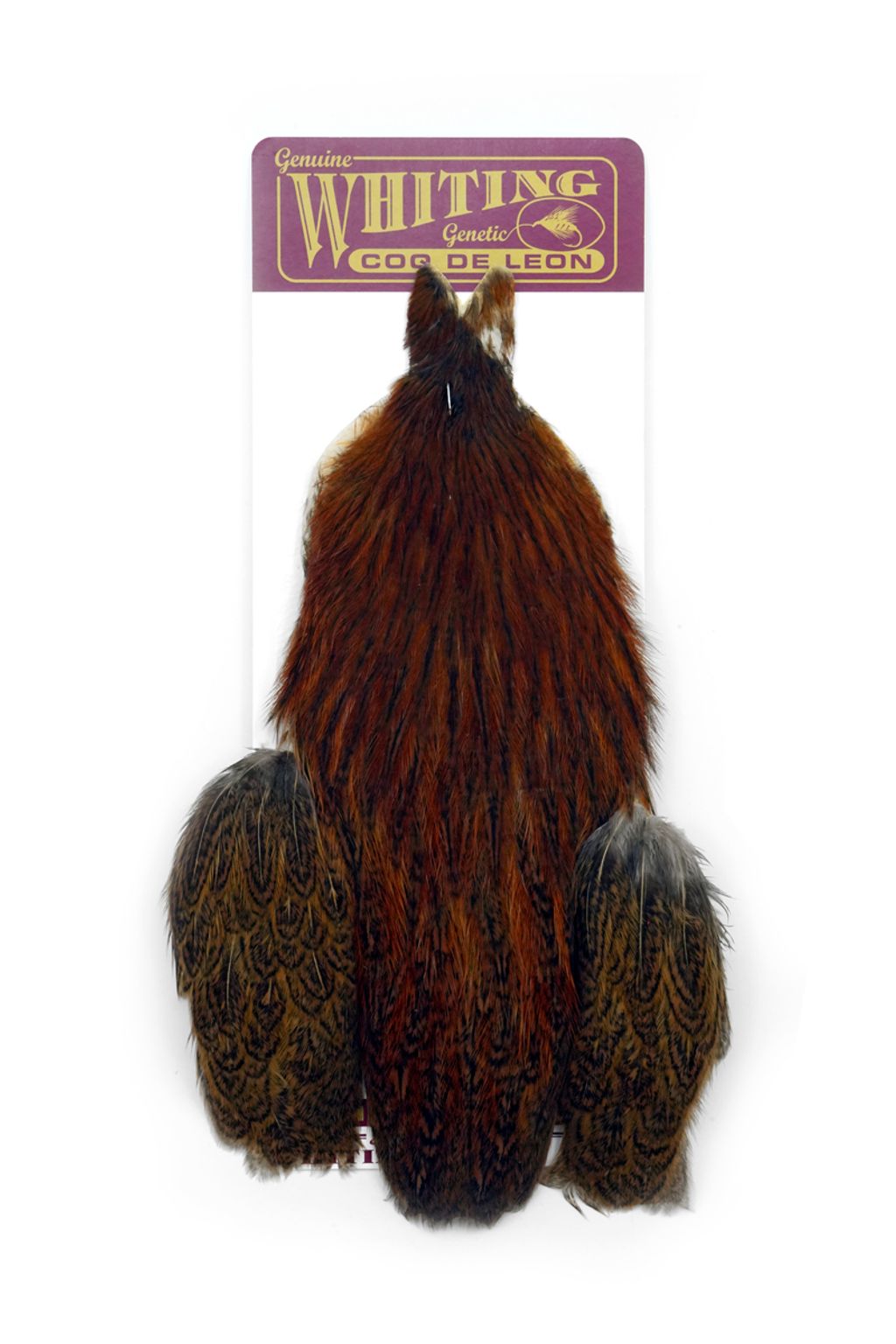 WHITING Coq de Leon Hen Cape Ginger Speckled