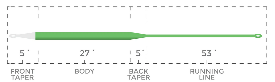 Cortland Muškařská šňůra Ghost Tip 5, Mint Green/Clear Tip