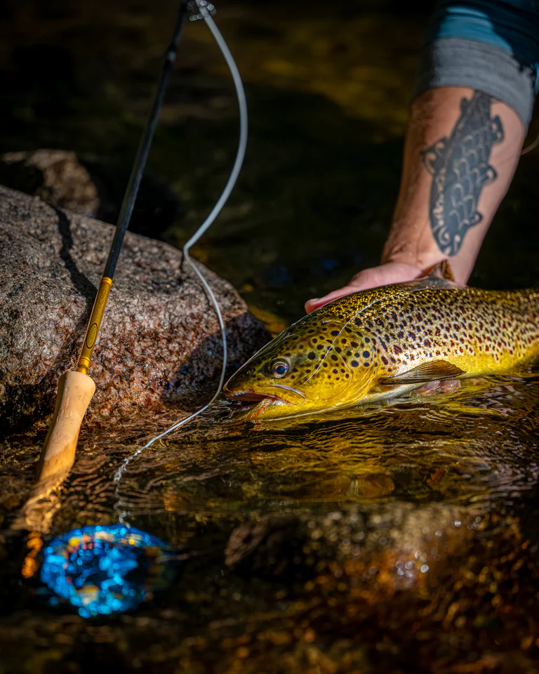 VISION Muškařský prut TROUT HERO²