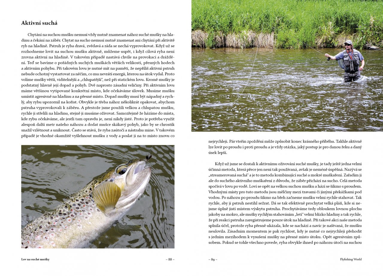Kniha Flyfishing World, Luboš Roza