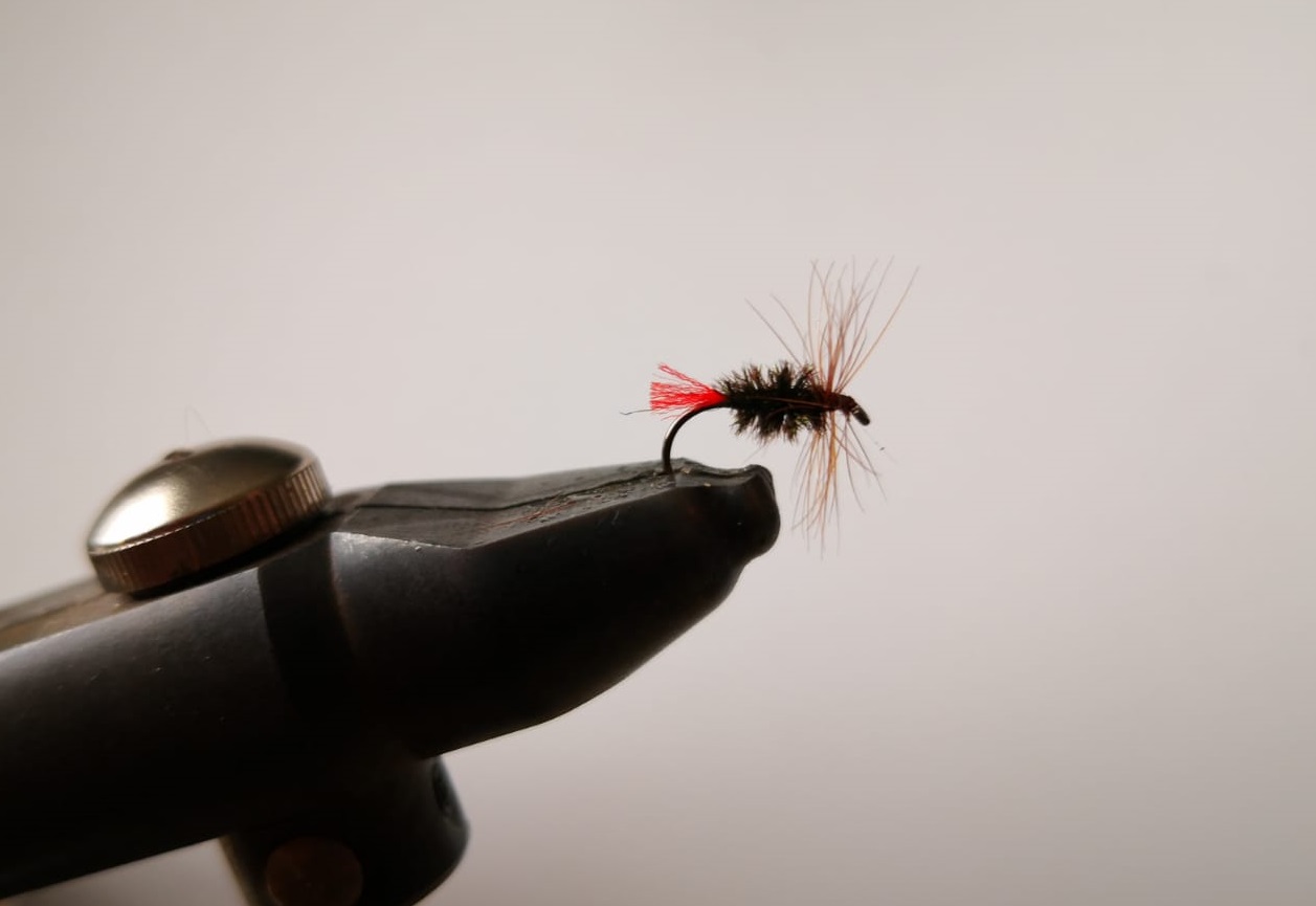 suchy red tag
