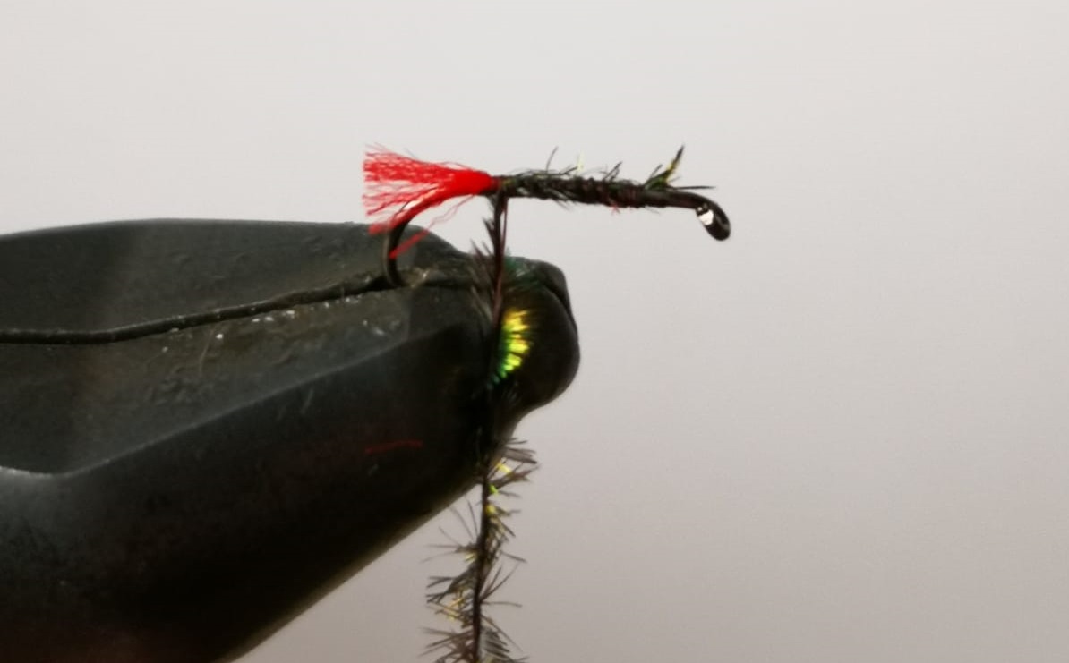 suchy red tag